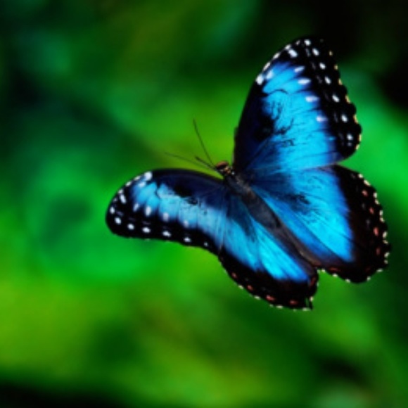 Meet your Posher, Joelle - Picture 1 of 1